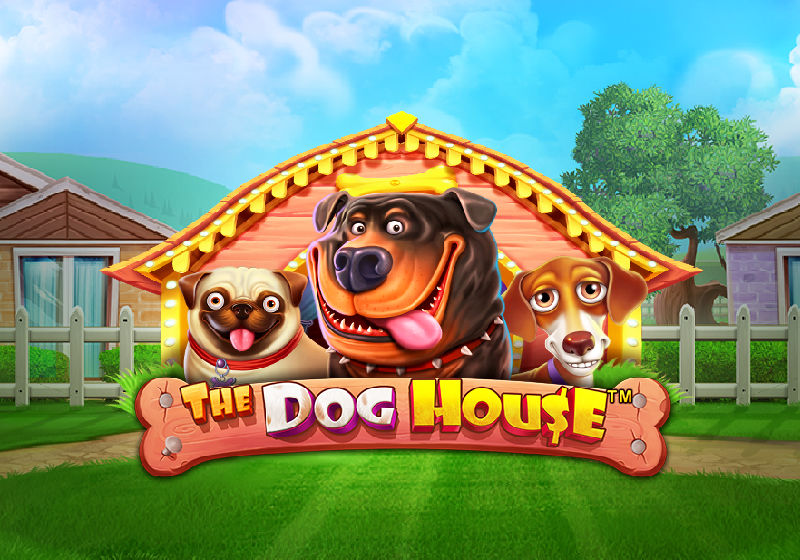 The Dog House, Slot aparati sa 5 točkova